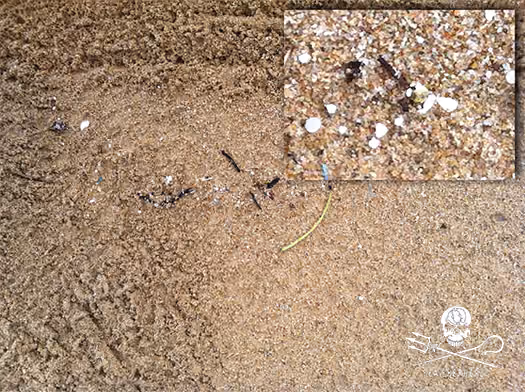 Zoom do micro lixo na Praia do Curral – destaque bolinhas brancas de isopor por toda a orla da praia.