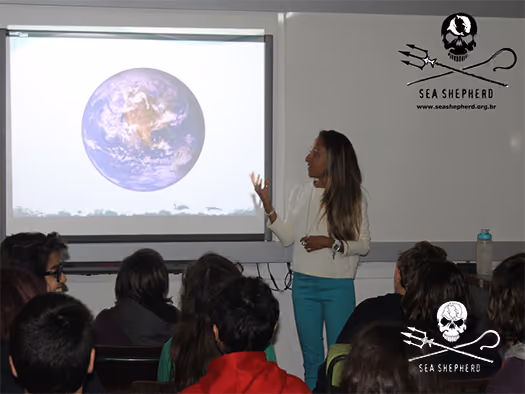 Palestra Projeto Parque Municipal Tartarugas de Ilhabela