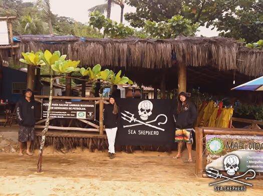 Voluntários na base de praia do Curral - Embaixada Mar e Vida Ecotrip