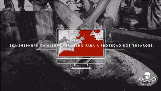 Imagem da Campanha Mar de Sangue