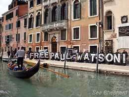 Voluntários da Sea Shepherd em Veneza, Itália, se unem para apoiar o Capitão Watson