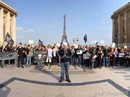 Voluntários da Sea Shepherd se reuniram em Paris, França, para o Dia SOS