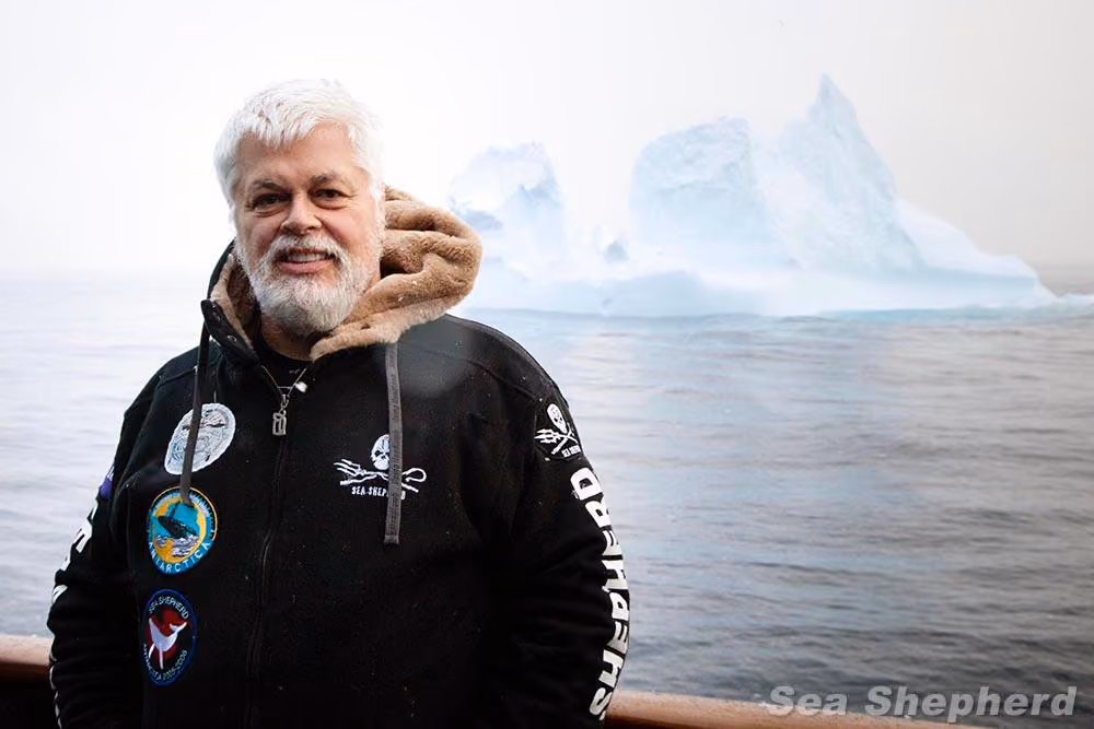 Capitão Paul Watson agindo como observador durante a campanha Tolerância Zero. Foto: Sea Shepherd