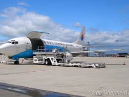 news_110607_1_1_Cathay_Pacific_Airlines_participates_in_dolphin_trade