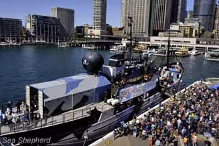Australianos comparecem a protesto no MV Steve Irwin na baía de Sidney. Foto: Glenn Lockitch