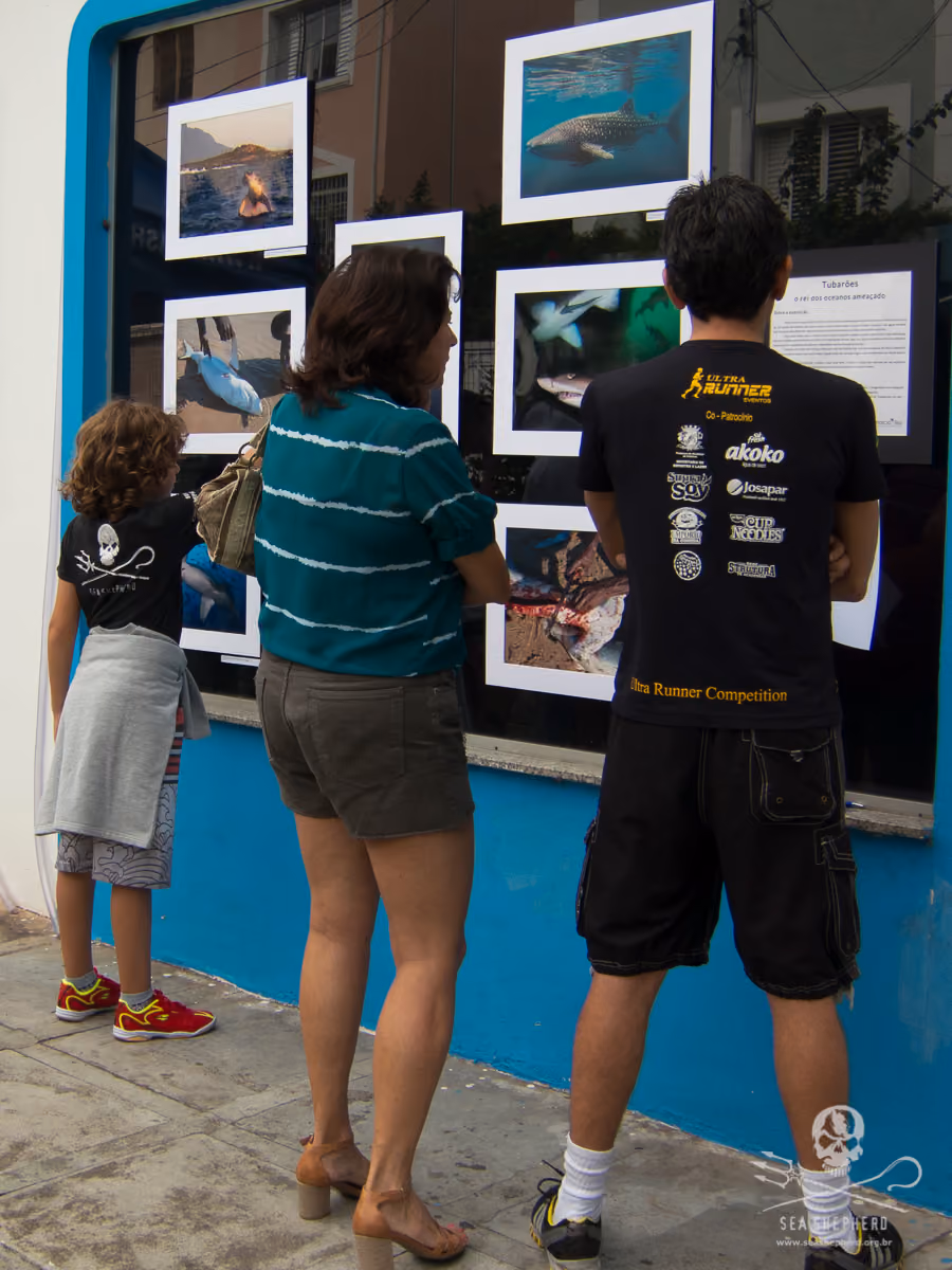 Exposição do Fotógrafo Marcio Lisa Foto: ISSB/SP