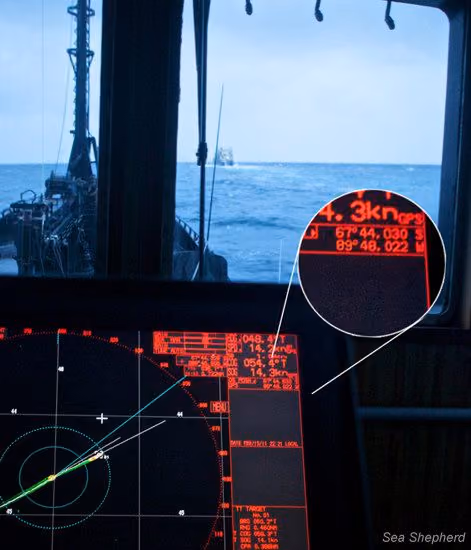 A localização do Nisshin Maru é confirmada no radar do Bob Barker (Foto: Gary Stokes)