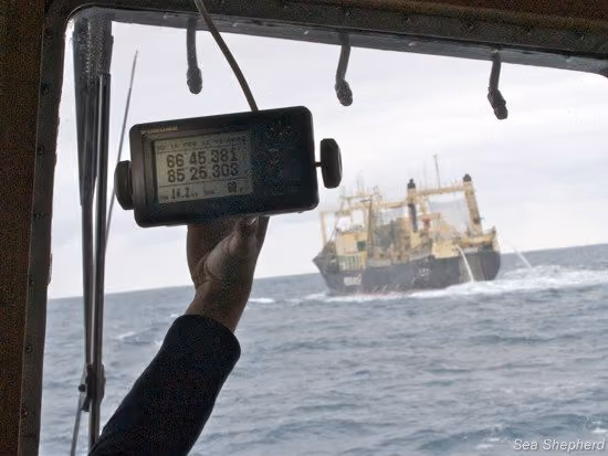 Um tripulante segura um dispositivo que confirma a localização do Nisshin Maru (Foto: Gary Stokes)