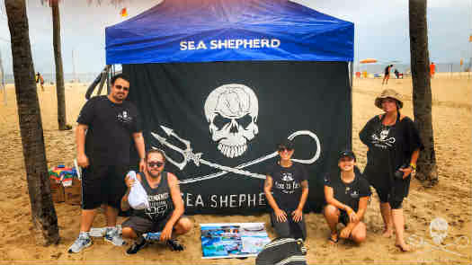 Foto: Sea Shepherd Brasil Rio de Janeiro