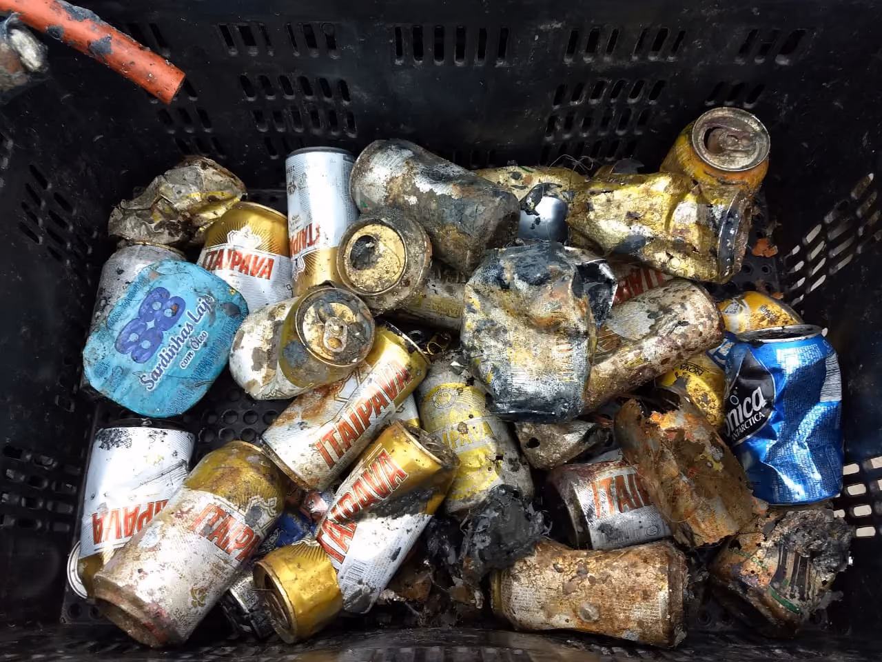 Foto: Latas de bebidas são recorrentes no fundo marinho, servindo de casa para pequenos animais.