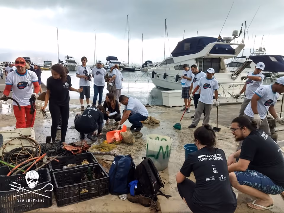 Foto: Sea Shepherd Brasil São Paulo na separação do lixo da limpeza submersa