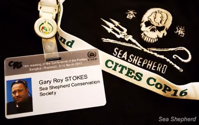 Credenciais de entrada de Gary para a Cop16 da CITES. Foto: Sea Shepherd