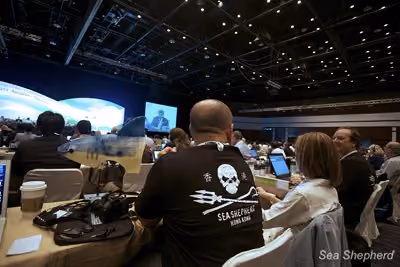 Sea Shepherd na CITES. Foto: Sea Shepherd
