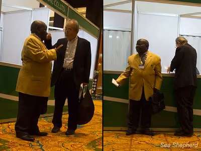 Japão se reúne com o Congo. Foto: Sea Shepherd