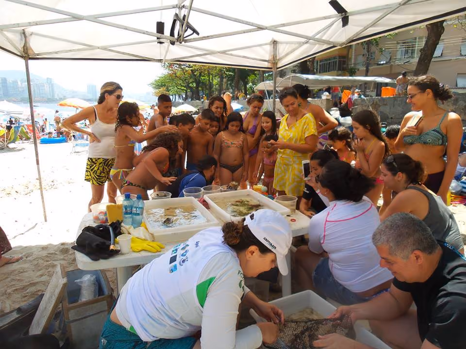 Resgate de Fauna dos resíduos descartados incorretamente
