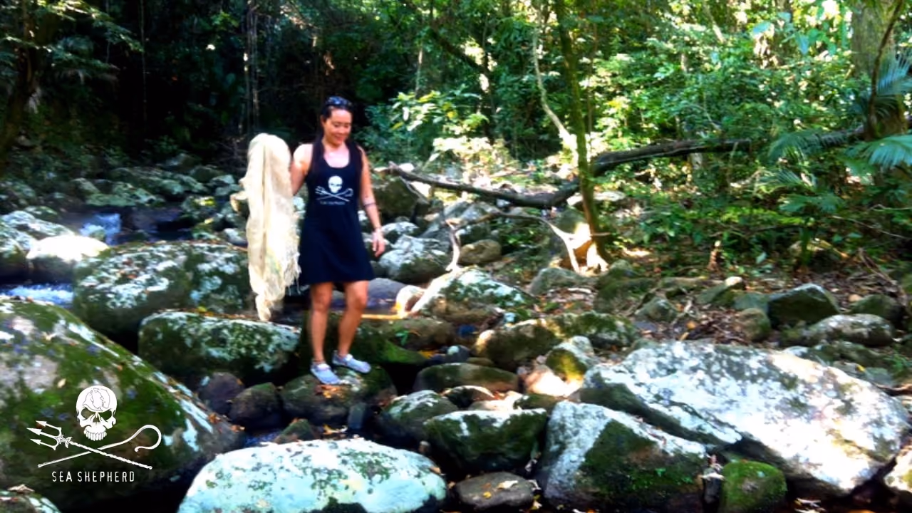 1.200 metros de Córregos de Cachoeira foram percorridos