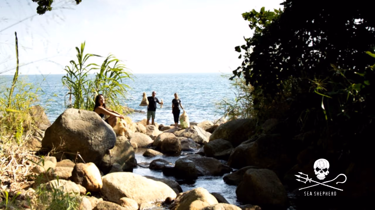Do rio da cachoeira ao mar na coleta de lixo na Praia do Curral, Ilhabela/SP