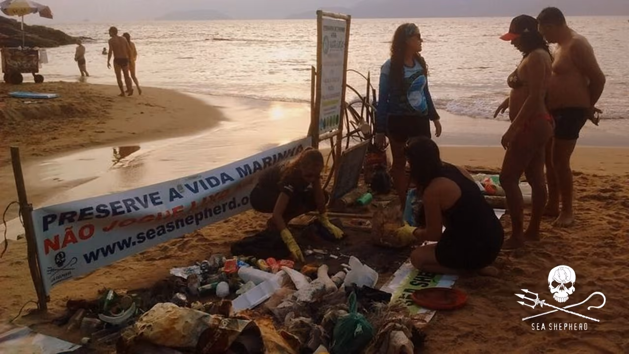 Final da tarde ainda separava-se o lixo.
