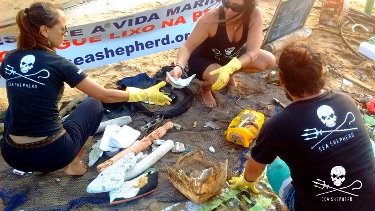 Um grupo pequeno uniu-se num domingo de sol para tirar lixo de praia e cachoeira
