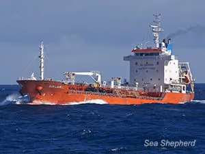 Sun Laurel - registrado no Panamá, navio de reabastecimento de propriedade sul-coreana para a frota baleeira japonesa. Foto: Billy Danger