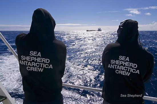 Os membros da tripulação do SSS Sam Simon observam o Sun Laurel a distância. Foto: Billy Danger