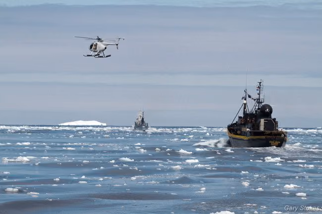 O Steve Irwin e o Helicóptero Nancy Burnet helicopter em perseguição ao Yushin Maru