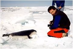 foca24