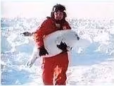 foca3