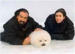 foca32