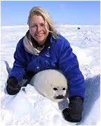foca34