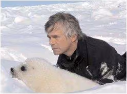 foca37
