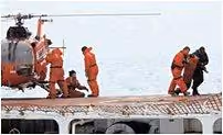 foca44