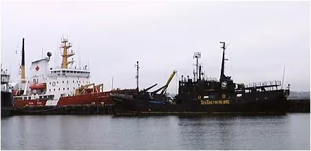 foca45