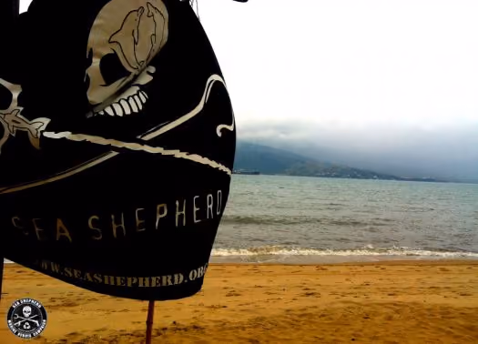 Ilhabela – Praia do Perequê