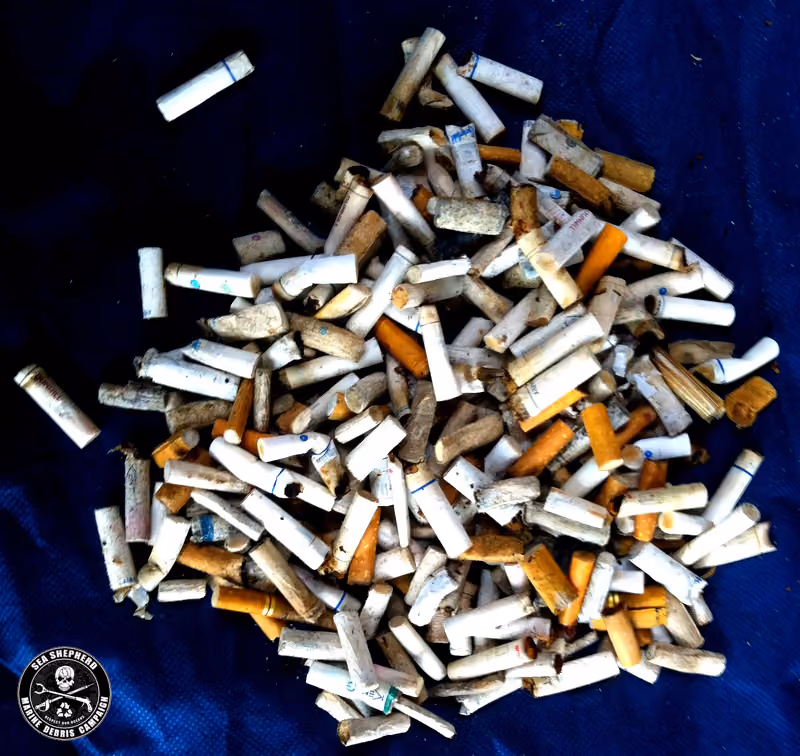Mais de 300 pontas de cigarro num pequeno trecho de areia de praia