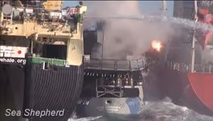 Guarda costeira japonesa explode granada no convés do navio-tanque de combustível, Sun Laurel. Foto: Sea Shepherd Austrália