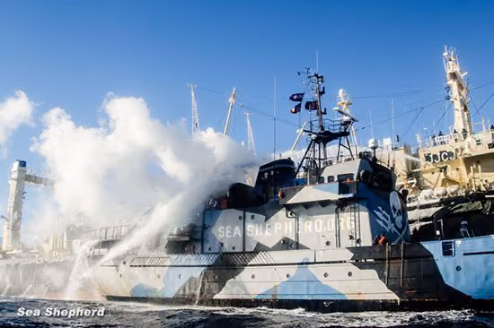 Vapor sai da chaminé do Steve Irwin enquanto o Nisshin Maru tenta inundar o motor do Steve Irwin usando canhões altamente pressurizados de água. Foto: Sea Shepherd Austrália / Tim Watters