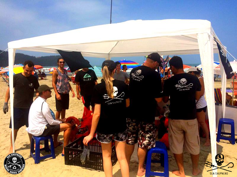Praia Grande SP - Tenda com voluntários em ação de limpeza e educação ambiental