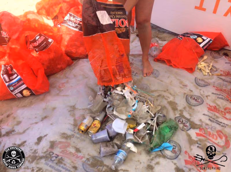 Praia Grande SP Canto do Forte - esvaziando os sacos de lixo após coleta pelos voluntários.