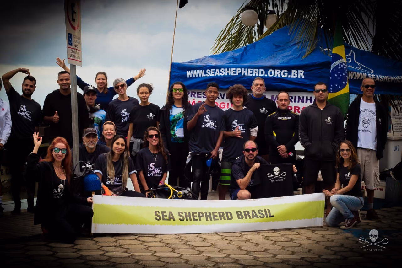 voluntários em ação na Semana do Meio Ambiente 2018 – Ilhabela/SP