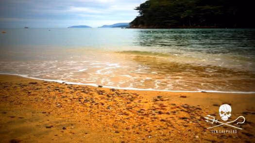 Praia das Pedras Miúdas – Ilhabela/SP - Brasil