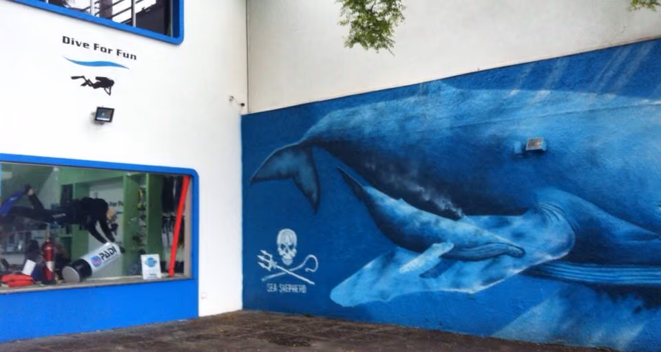 Embaixada Sea Shepherd. Foto: Mara Lott