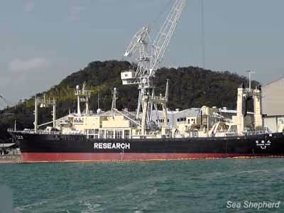 Nisshin Maru sendo consertado no porto. Foto: Sea Shepherd