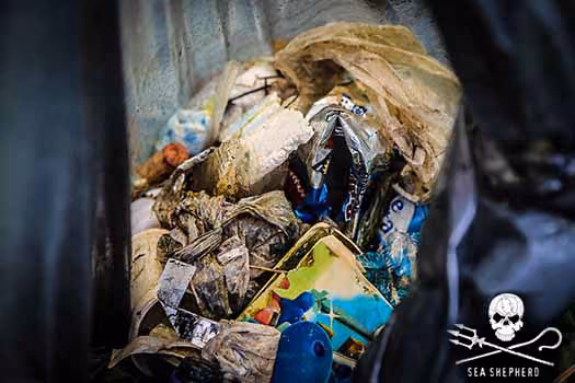 Foto: Todd Southgate