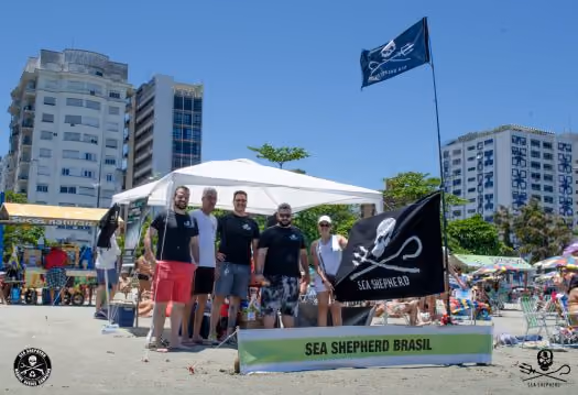 Voluntários reúnem-se em Santos SP para Clean Up na Ponta da Praia