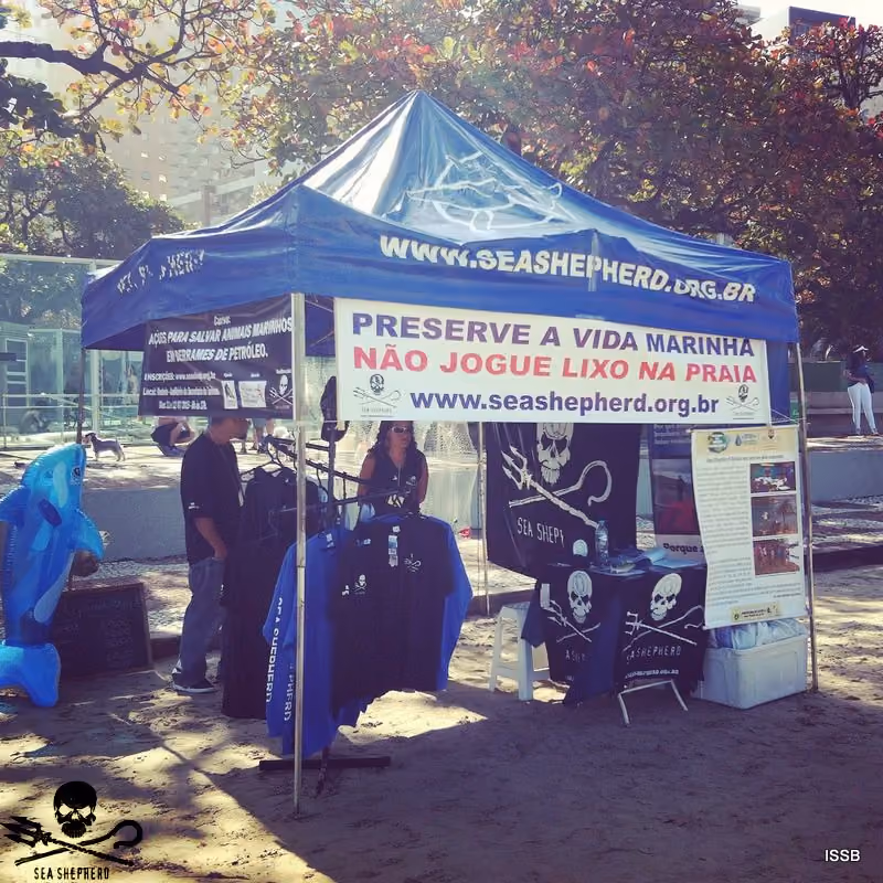 Stand na praia divulgando as campanhas nacionais. Foto: Sea Shepherd Brasil