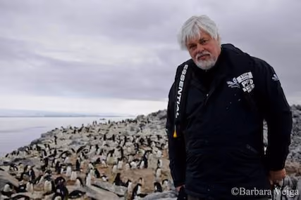 Capitão Paul Watson