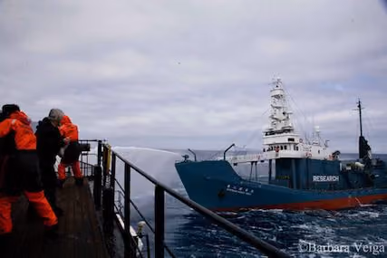 Sea Shepherds em ação