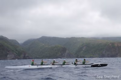 Equipe da Sea Shepherd rema pela costa acidentada de Big Island. Foto: Deborah Bassett / Sea Shepherd