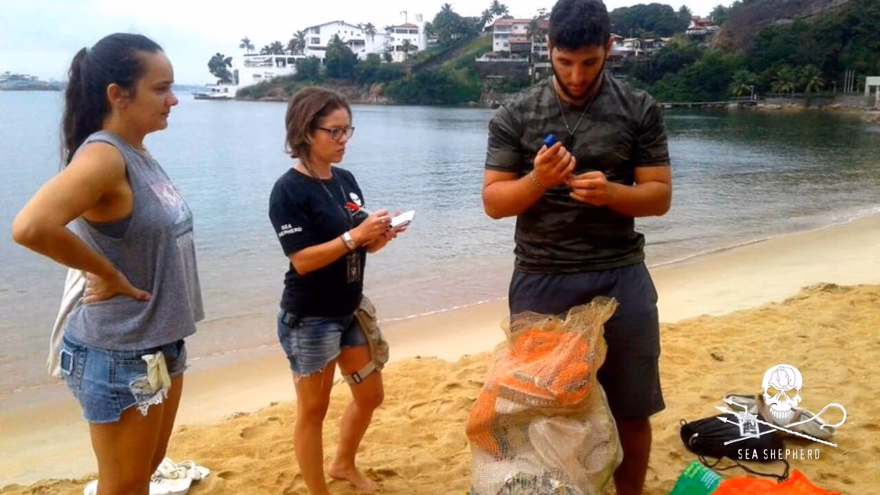 A coleta dos detritos foi catalogada e pesada.